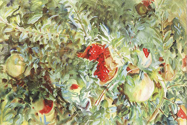 Pomegranetes